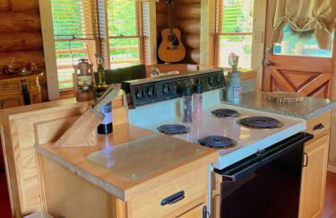Smoky Mountains Blue Ridge Cabin Tennessee - Foto 15