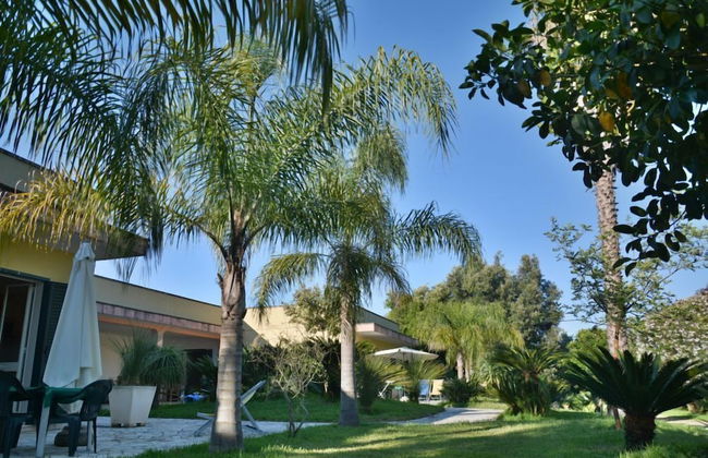 Masseria Lama - Foto 59