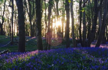 Yellowham Farm, Dorchester - Photo 11