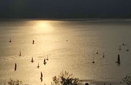 Agriturismo L'Uliveto - Foto 57