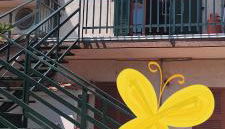 La passolara - Foto 2