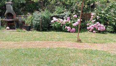 LA FUENTONA - Foto 2, Garden