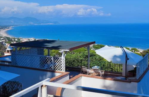 Pino Marino - Foto 37