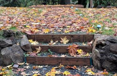 Enchanted Hollow- Cozy, Romantic Woodland Getaway - Photo 12