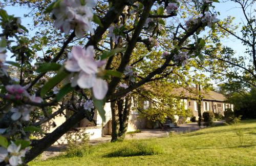 Les Communs du Manoir - Foto 62