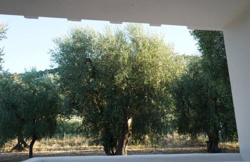 Olive&Sea Villa-OLIVE - Foto 25