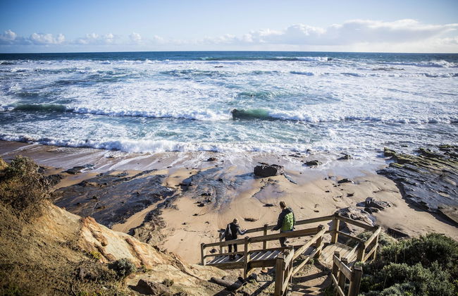 Alkina Lodge - Foto 28