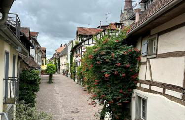 Ferienwohnung Stadtgarten - Photo 14