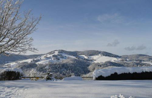 Haus Rümmele - Ferienwohnung 1 - Foto 17