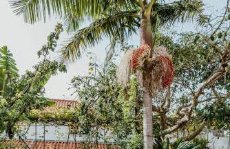 City View Gardens I - Foto 19