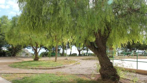 Sainvi 10-3C - Foto 3