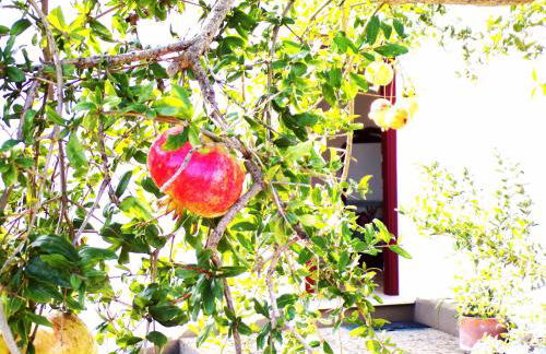 Villa Ghezzi Sea View - Foto 39