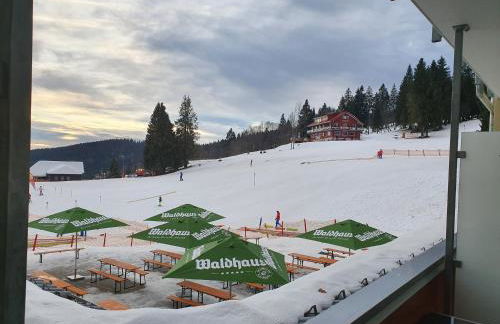 Enjoy Ferienwohnung Feldberg Grafenmatt - Foto 21