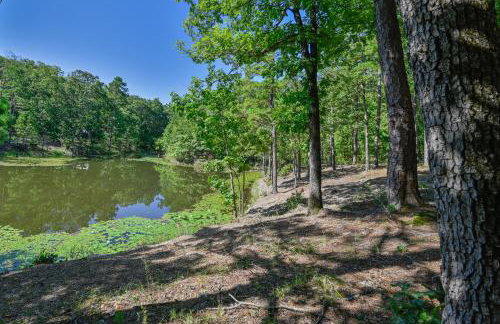 Little Wolf Cabins and ATV Rentals - Foto 67