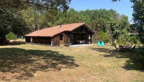 Bergerie sur Airial Landais - Foto 3, Garden