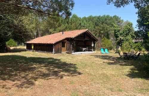 Bergerie sur Airial Landais - Foto 3