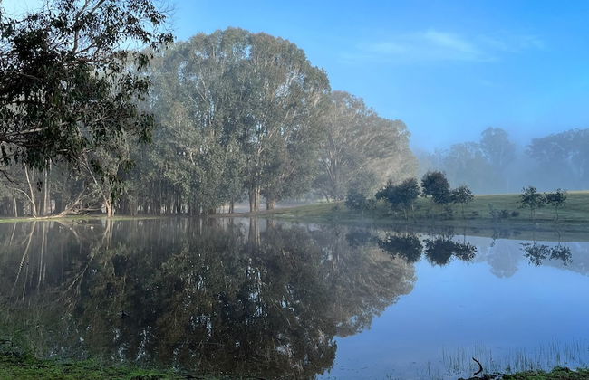 Jarrah Glen Cabins - Photo 31