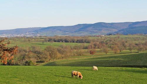 Holiday Home Premier gîte de Bouton by Interhome - Foto 5