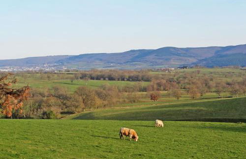 Holiday Home Premier gîte de Bouton by Interhome - Foto 5