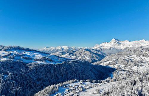 Appartement neuf duplex, ski-in/ski-out, WiFi, parking - FR-1-505-190 - Photo 29