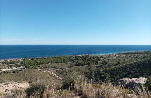 Gran Vista - Photo 19