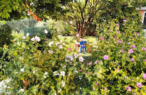 Ca Du Stea - Foto 15