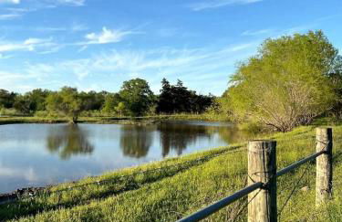 Modern Farmstay Cabin with Friendly Animals, Pond Views & Nature Trails Near Cedar Creek, Texas - Photo 64