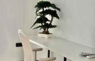 Piso con patio,mascotas aptas - Photo 18