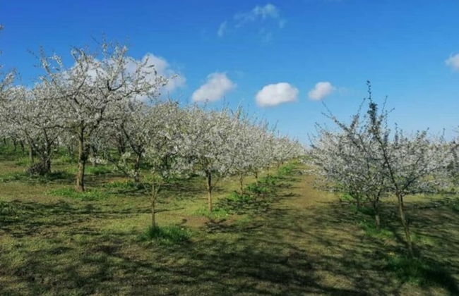 Lovely Apartment in Hesse - Foto 37