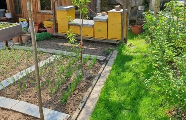 Holiday Apartment in the Rose Garden - Foto 25