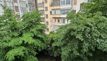 Casa a Torino Stadio Olimpico - Inalpi Arena - Lingotto Fiere - Foto 5, Garden view