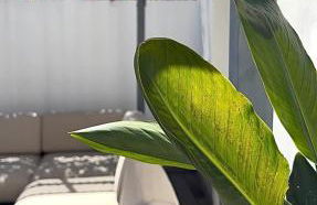 Citizentral Gascons - Foto 14