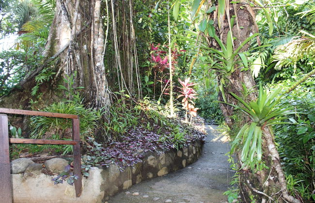 Villas de Oros - Foto 27