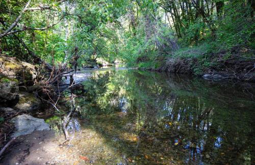 Sweet Creek - Photo 22