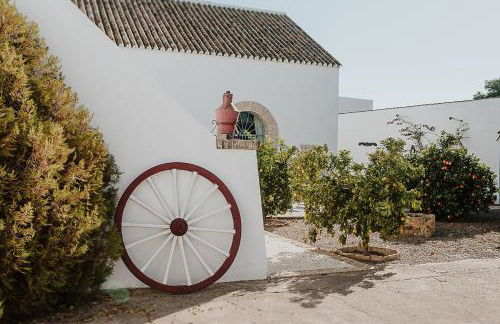 Cortijo Santa Clara - Foto 41