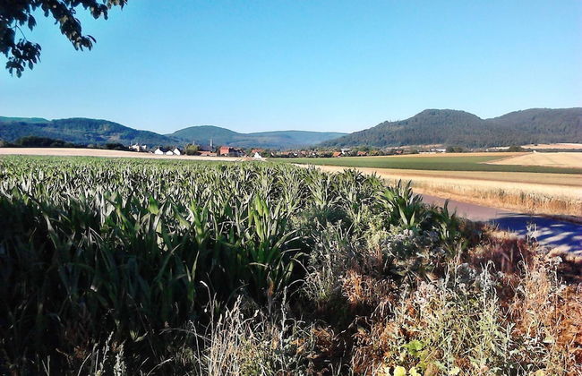 Monteurwohnung Langelsheim 6 Personen - Photo 18