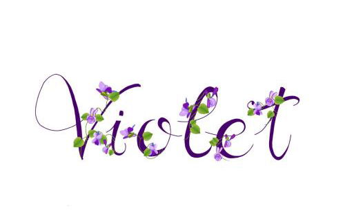 Appartamento Violet - Parma - Foto 36