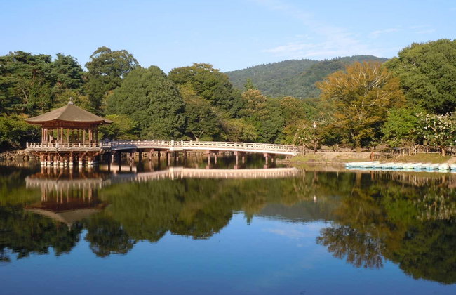 Visita guiada por Nara - Foto 2