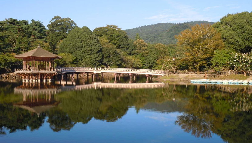 Visite guidée de Nara - Photo 2