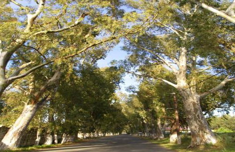 Egeon Rooms and Studios - Foto 42