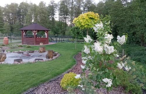 Owocowa Chojnata - Foto 1