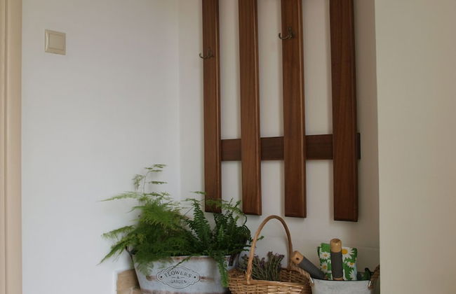 The Garden of Zephyrus - Foto 29