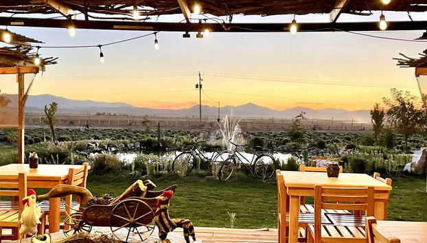 Ferme de Lavandas Aleyha