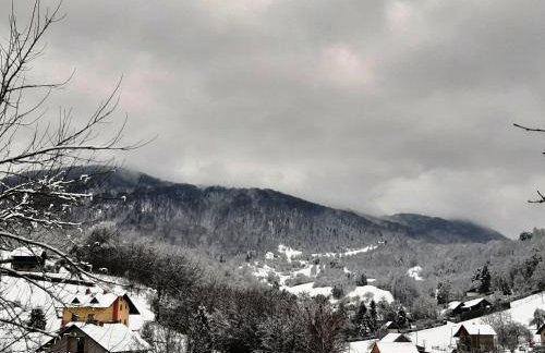 Vila Trnoružica - Foto 50