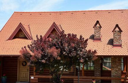 Villa Pine Log by Villas Guide - Foto 2