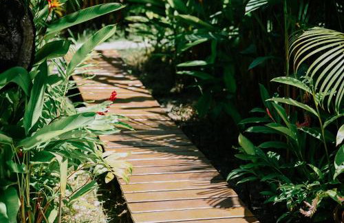 Jardim UIXA - Foto 48