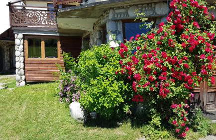 Antonówka - Foto 13