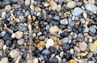 Les Malous - Foto 11