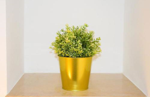 Gorgo Rinaldi - Locazioni brevi - Foto 24