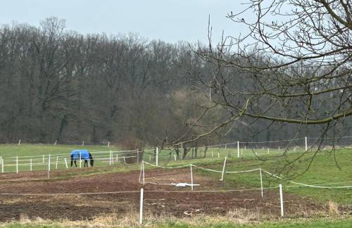 Tiny House - Foto 10